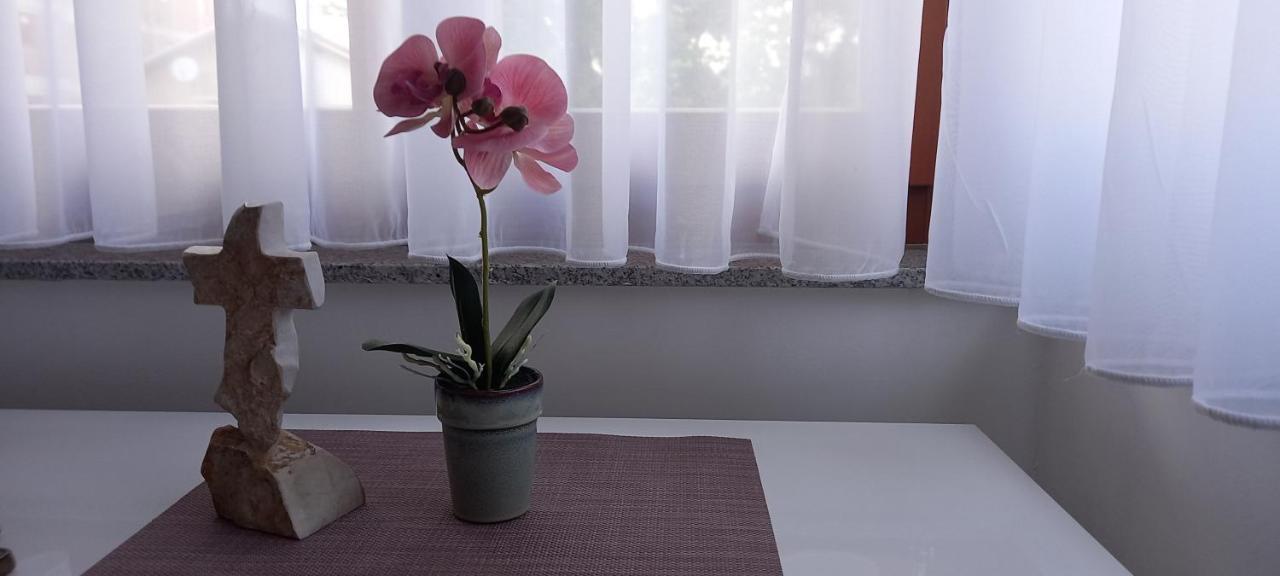 Marys Home Apartment Medugorje Extérieur photo